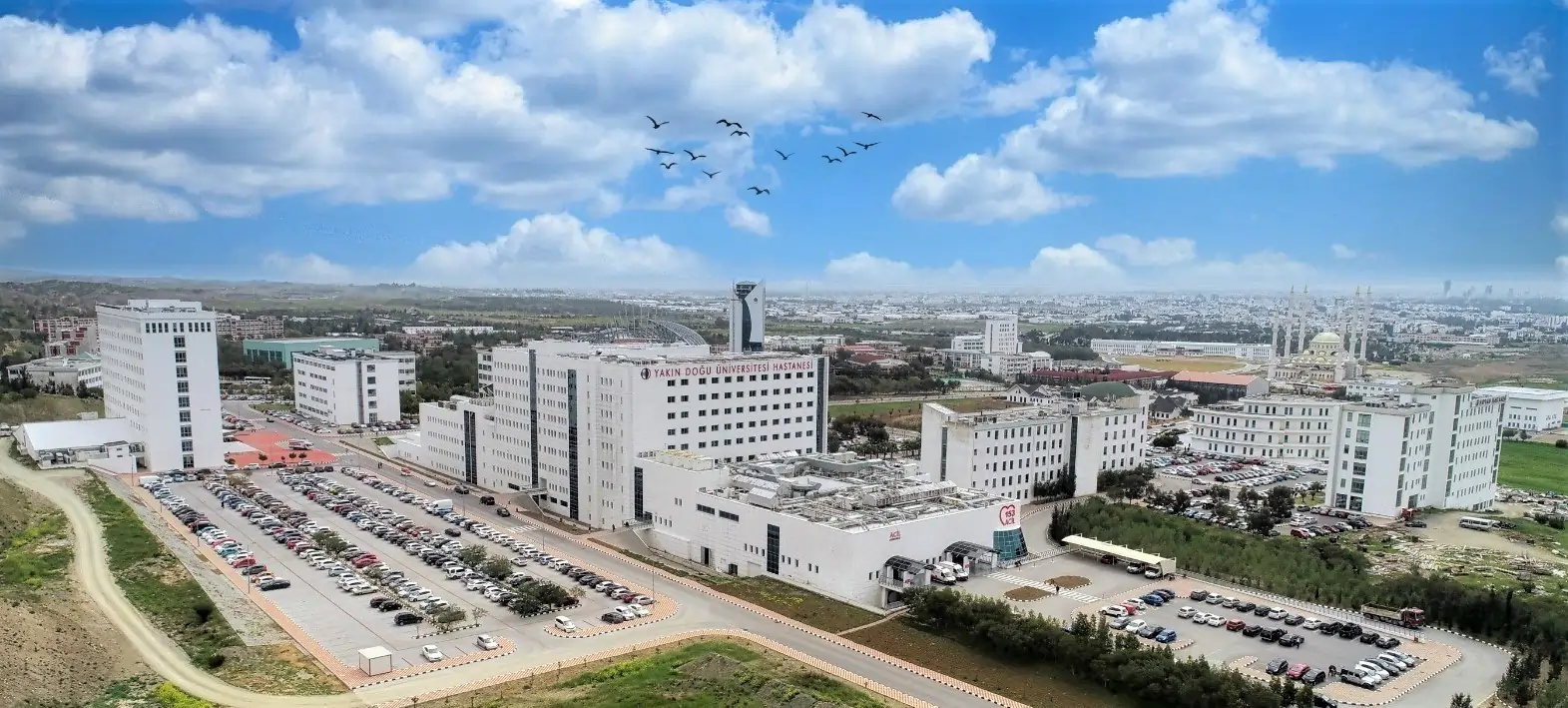 Near East University